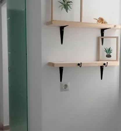 Apartamento Casco Historico Con Atico.
