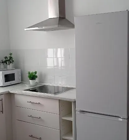 Apartamento Casco Historico Con Atico. Appartement