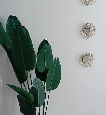 Apartamento Casco Historico Con Atico. Appartement Séville