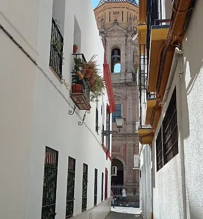 Apartamento Casco Historico Con Atico. Appartement *